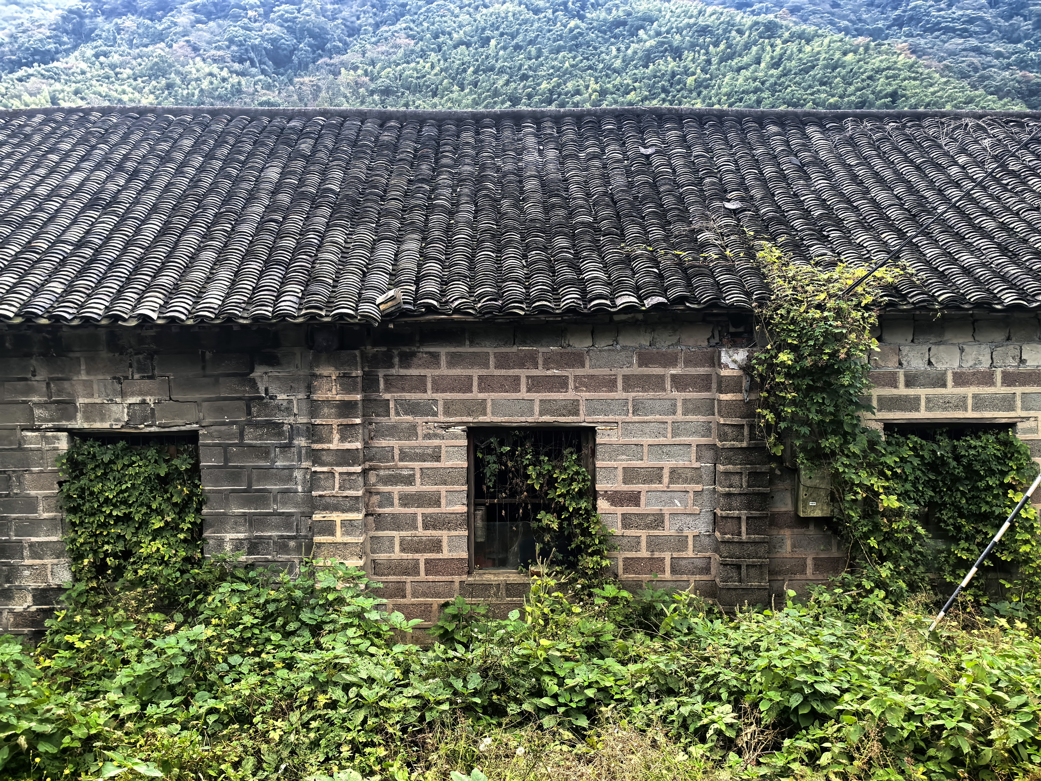 路边的风景