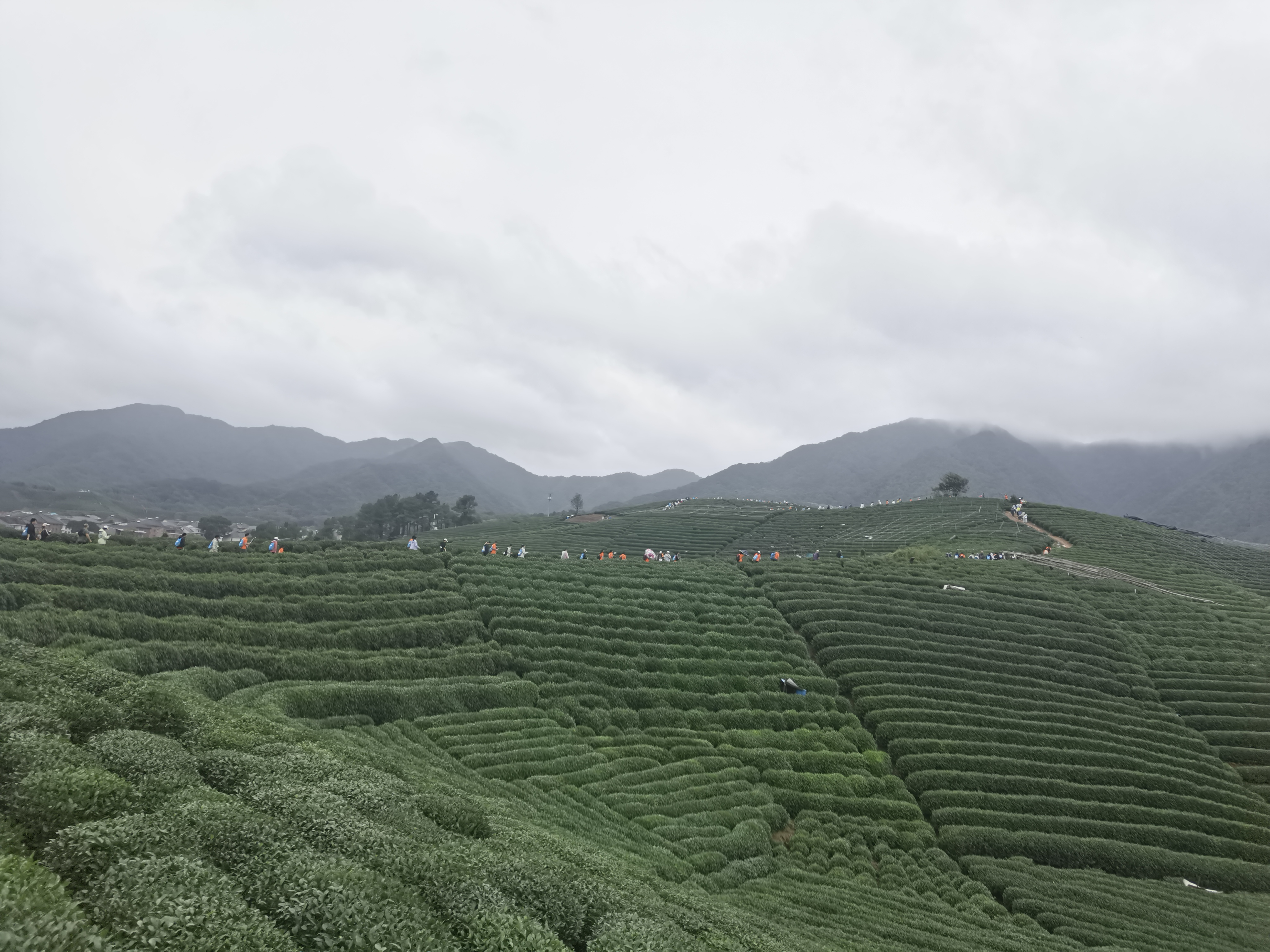 杭州西山，雨战