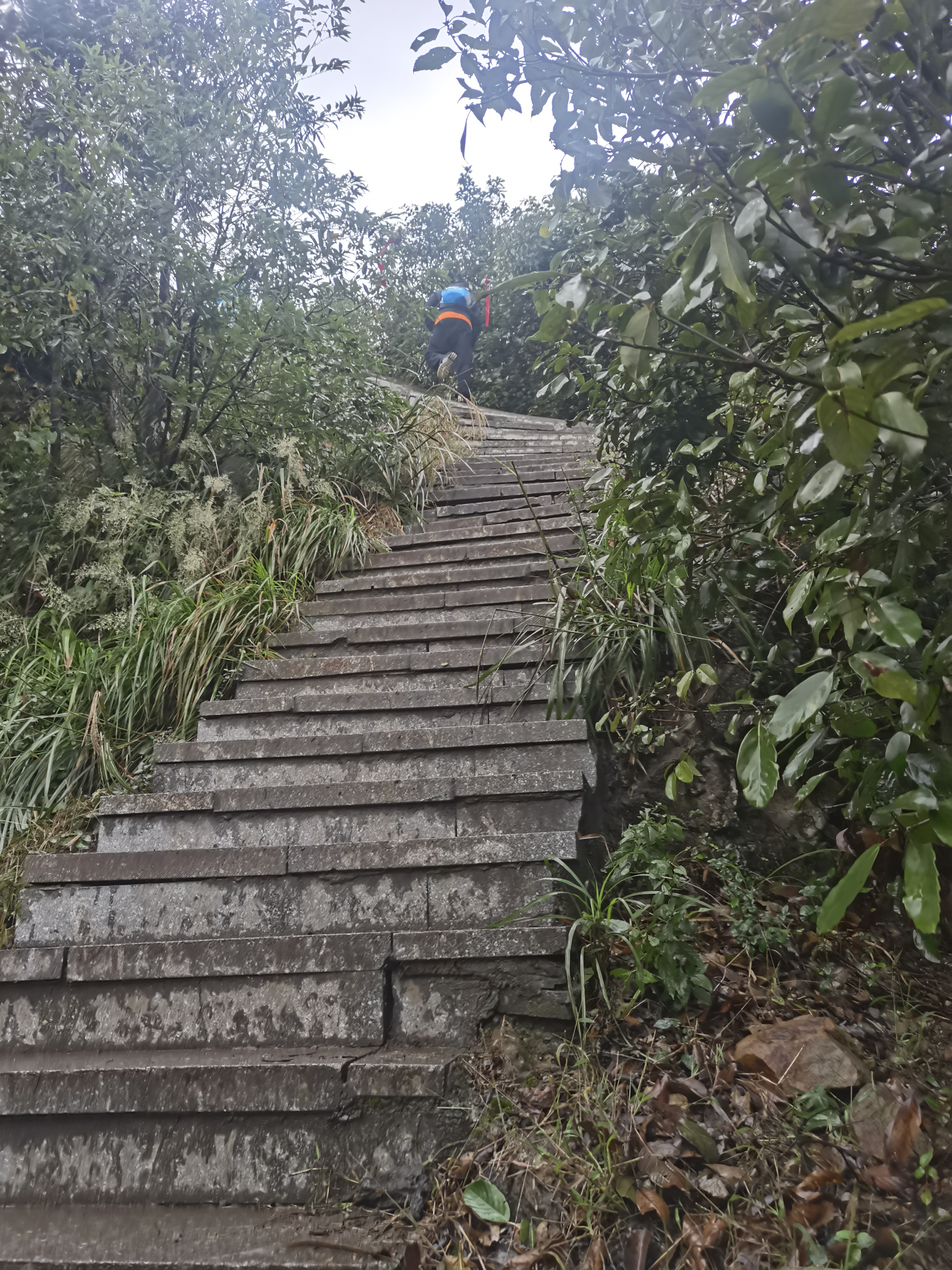 杭州西山，雨战