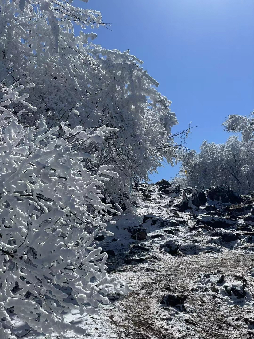 龙王山赏雪