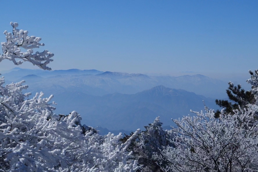 龙王山赏雪