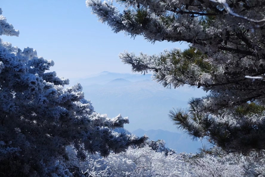 龙王山赏雪