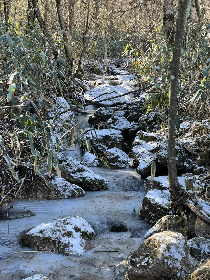 龙王山赏雪