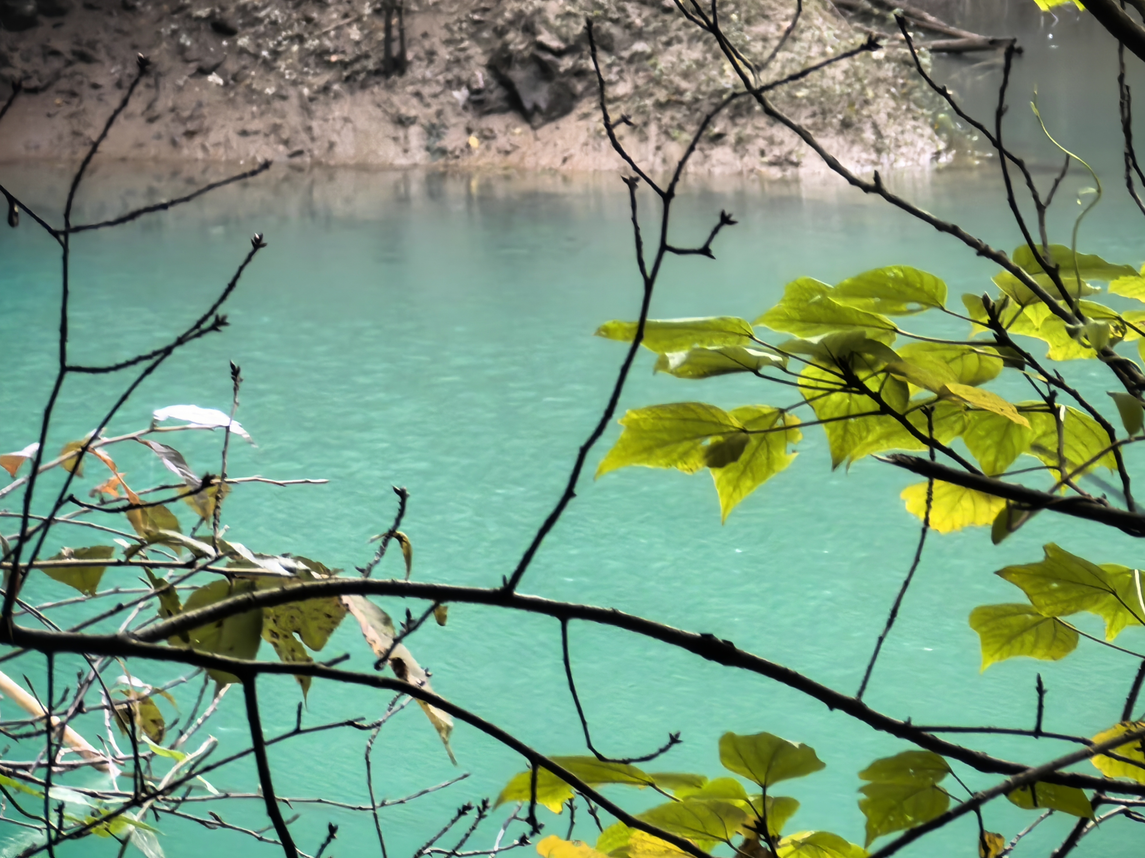 秋游：东岗山小森林