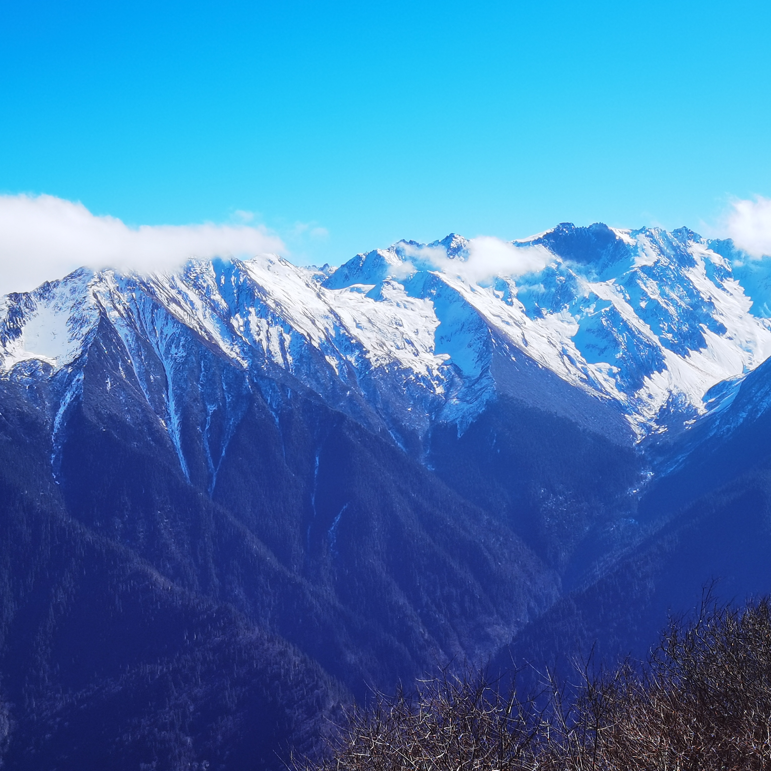 在环绕雪山的草原
