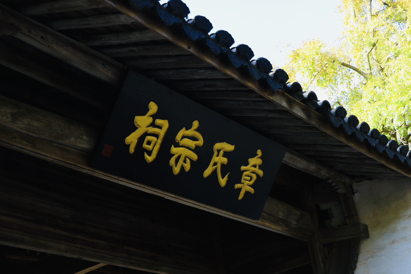 来自大自然嗯的馈赠-秋天九仰坪