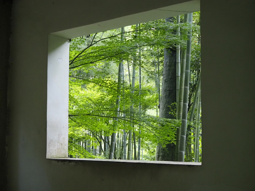 九溪龙井村
