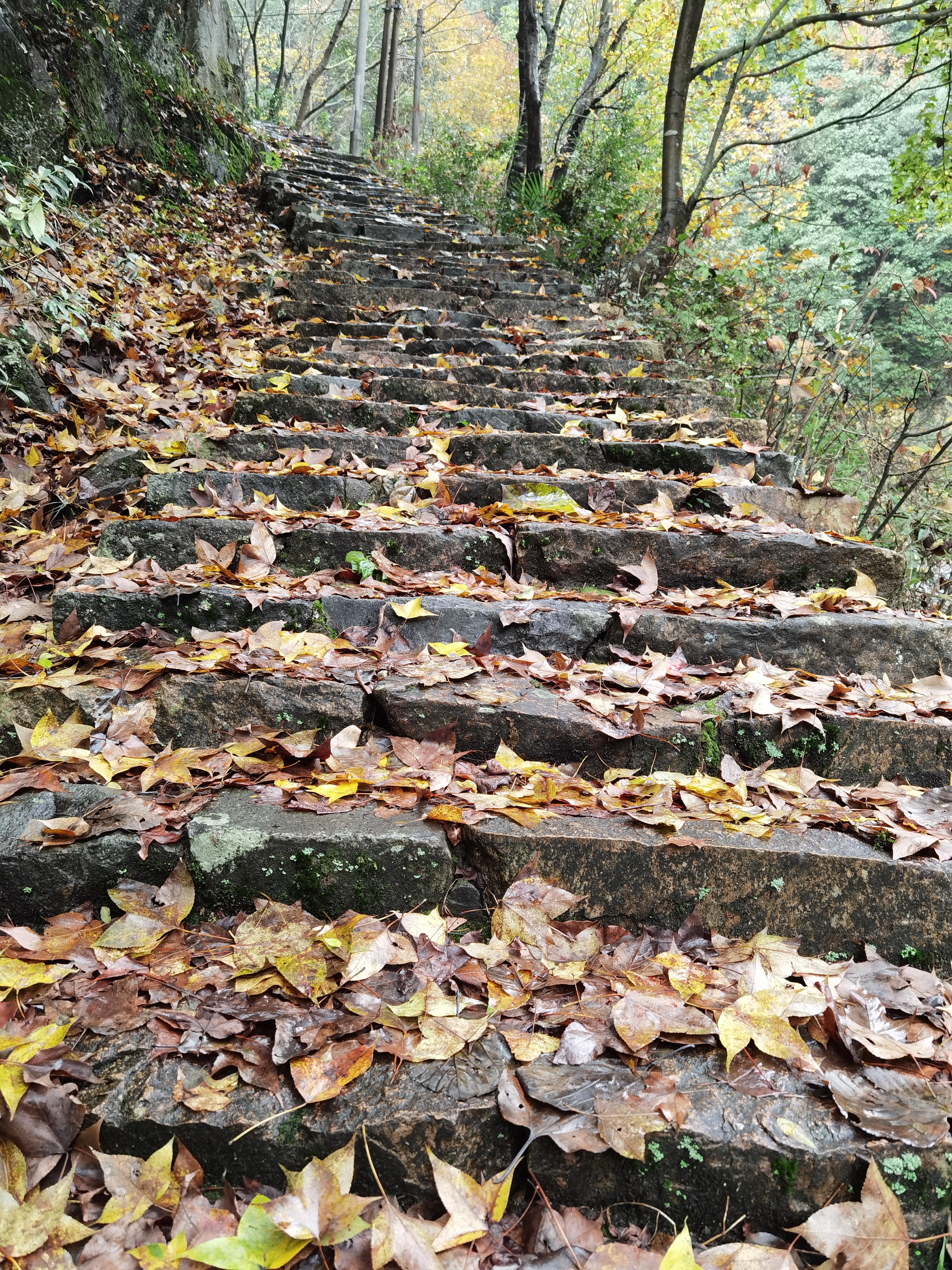 东岗山