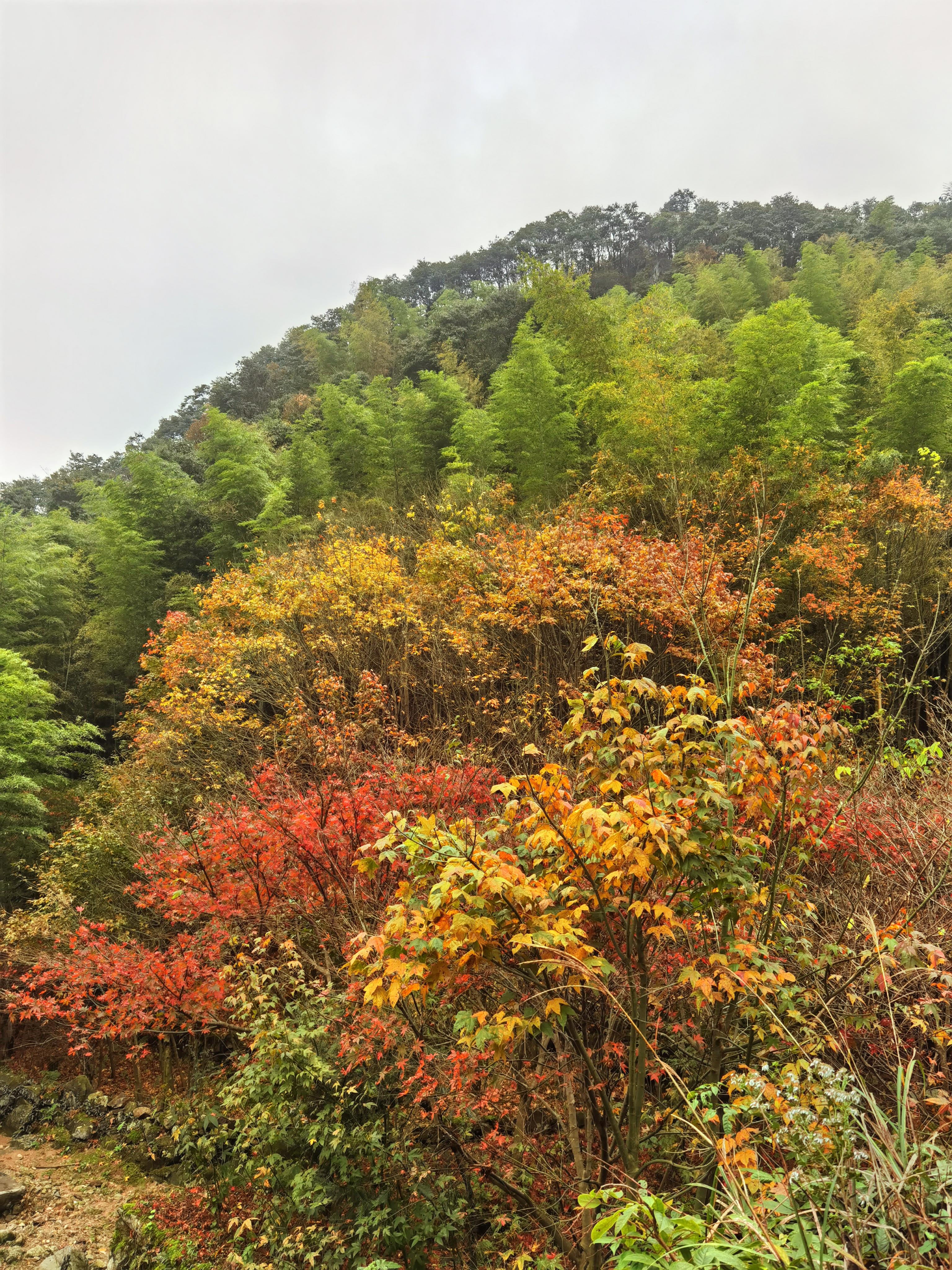 余姚东岗山