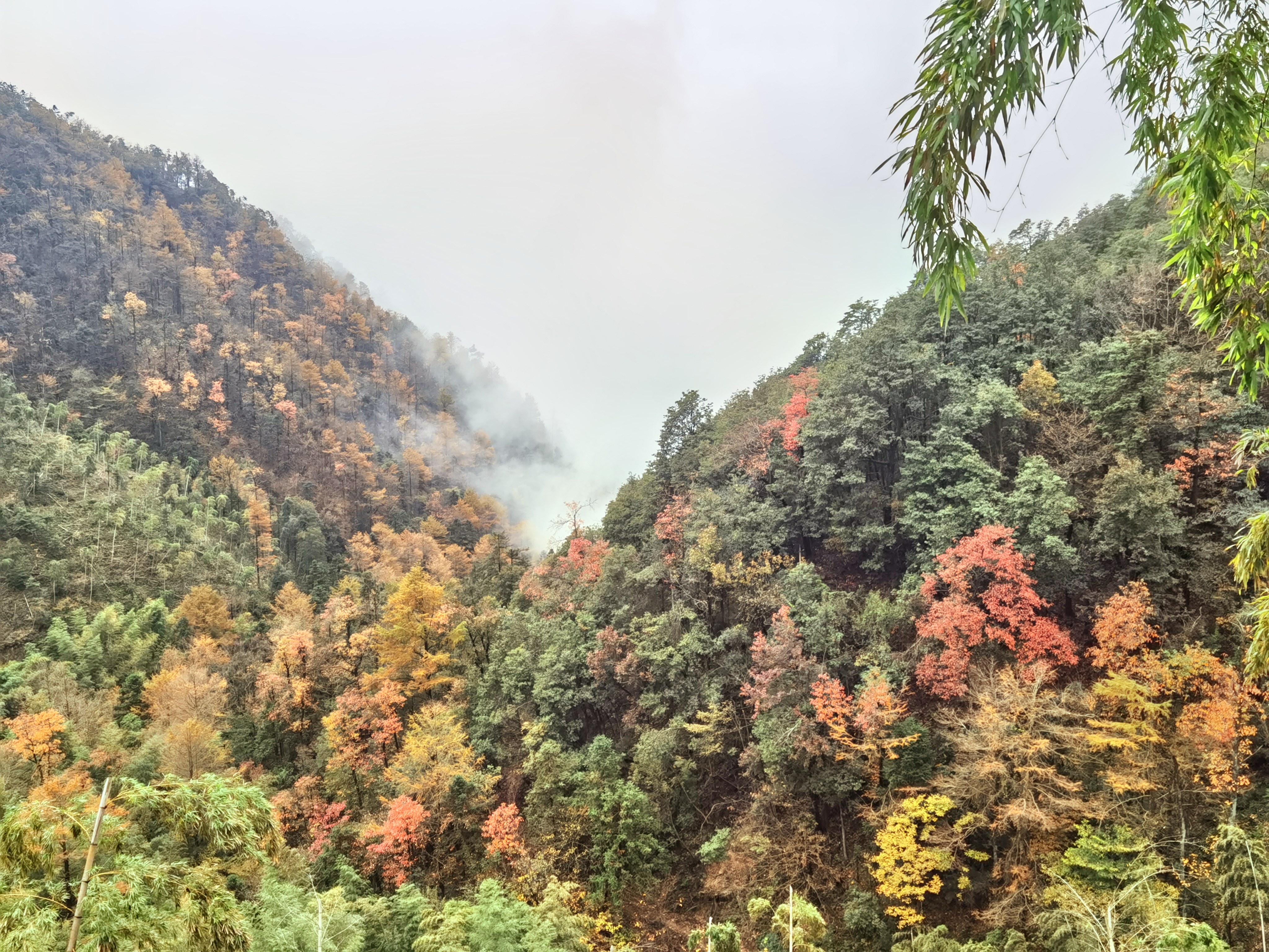 余姚东岗山