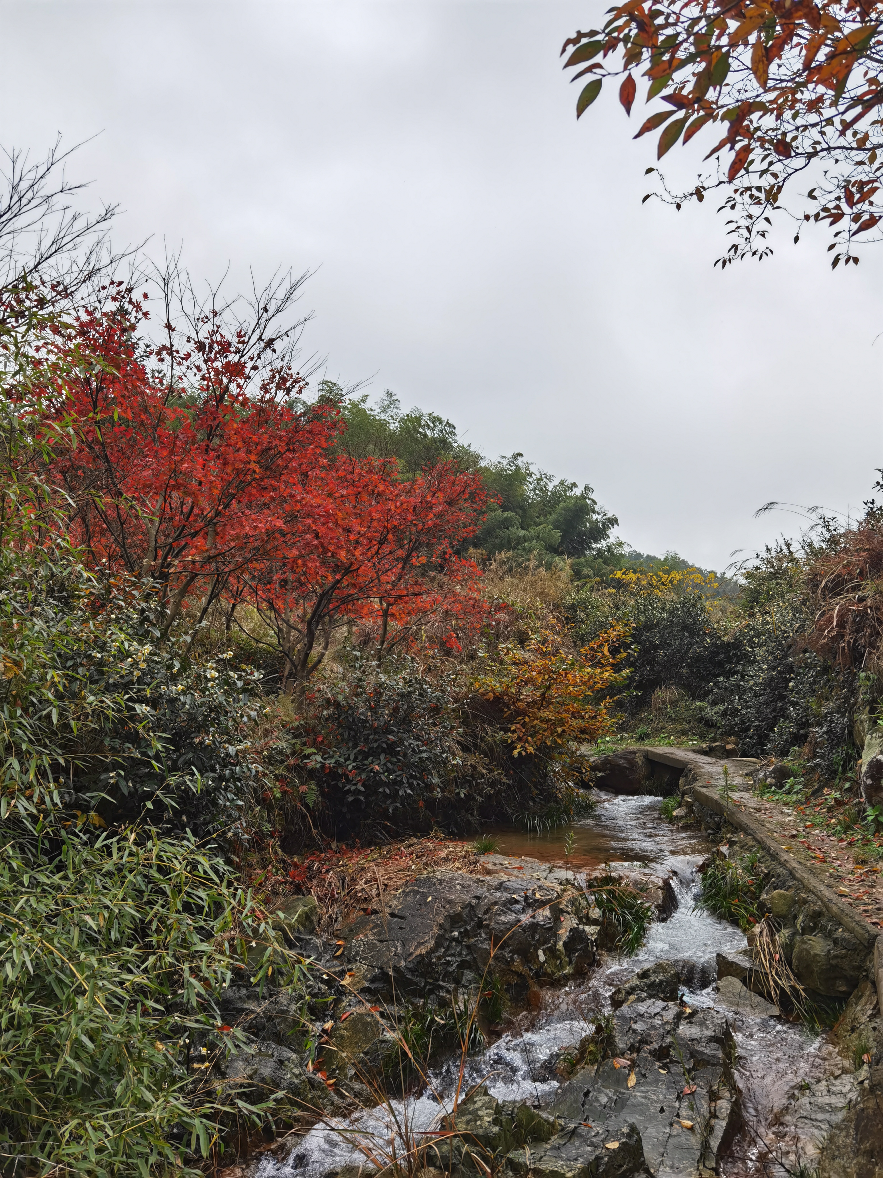 东岗山