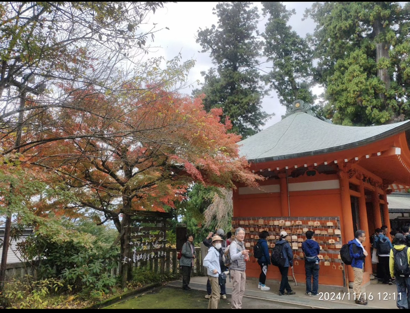 日本高尾山药王院,是位在日本东京都八王子市高尾山的寺院,真言宗智山派大本山。山号“高尾山”。本尊药师如来・饭绳权现、圣武