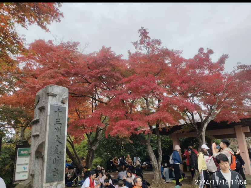 日本高尾山药王院,是位在日本东京都八王子市高尾山的寺院,真言宗智山派大本山。山号“高尾山”。本尊药师如来・饭绳权现、圣武