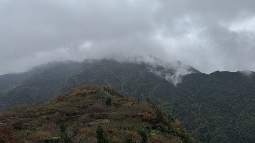徒步宁波四明山青虎湾岗