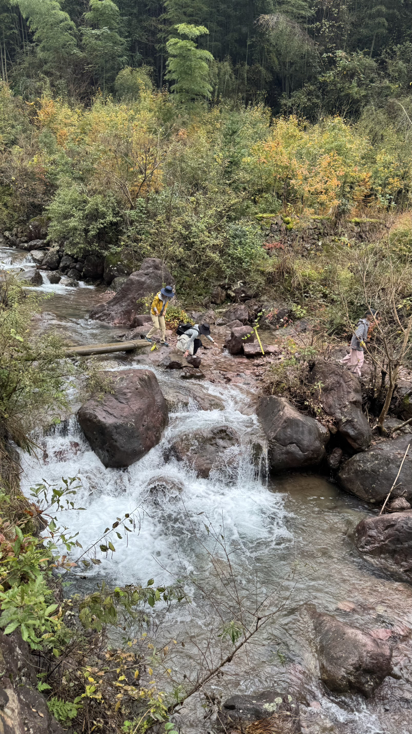 徒步宁波四明山青虎湾岗