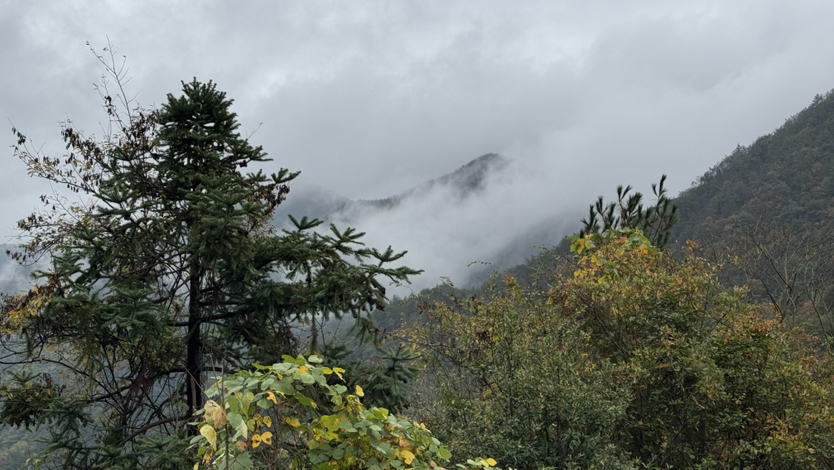 徒步宁波四明山青虎湾岗