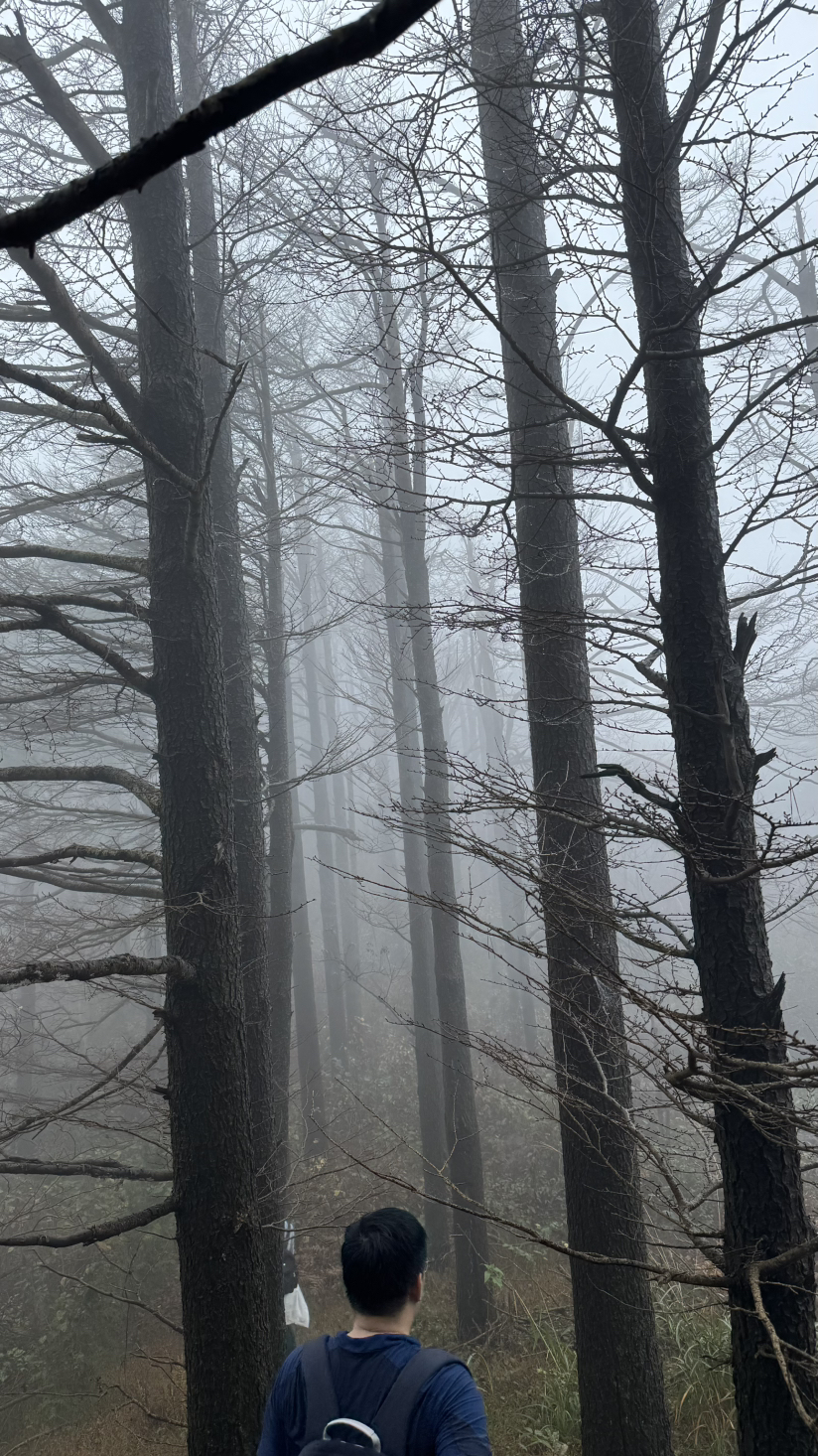 徒步宁波四明山青虎湾岗