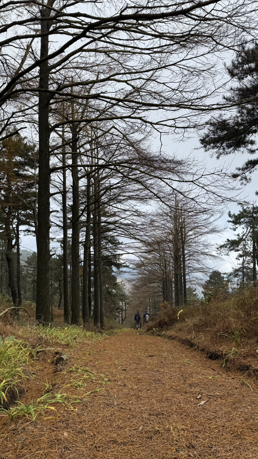 徒步宁波四明山青虎湾岗