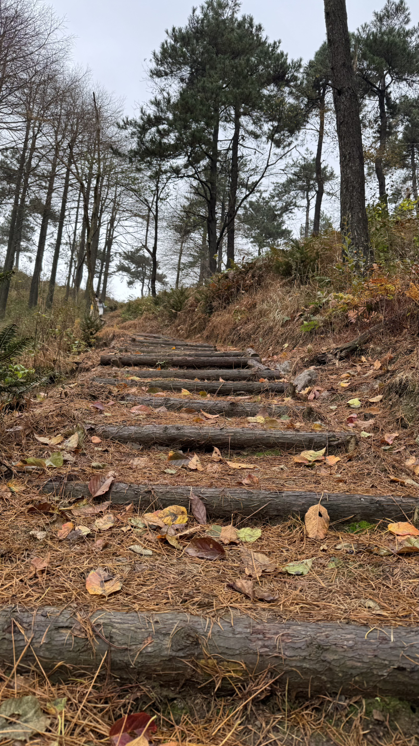 徒步宁波四明山青虎湾岗