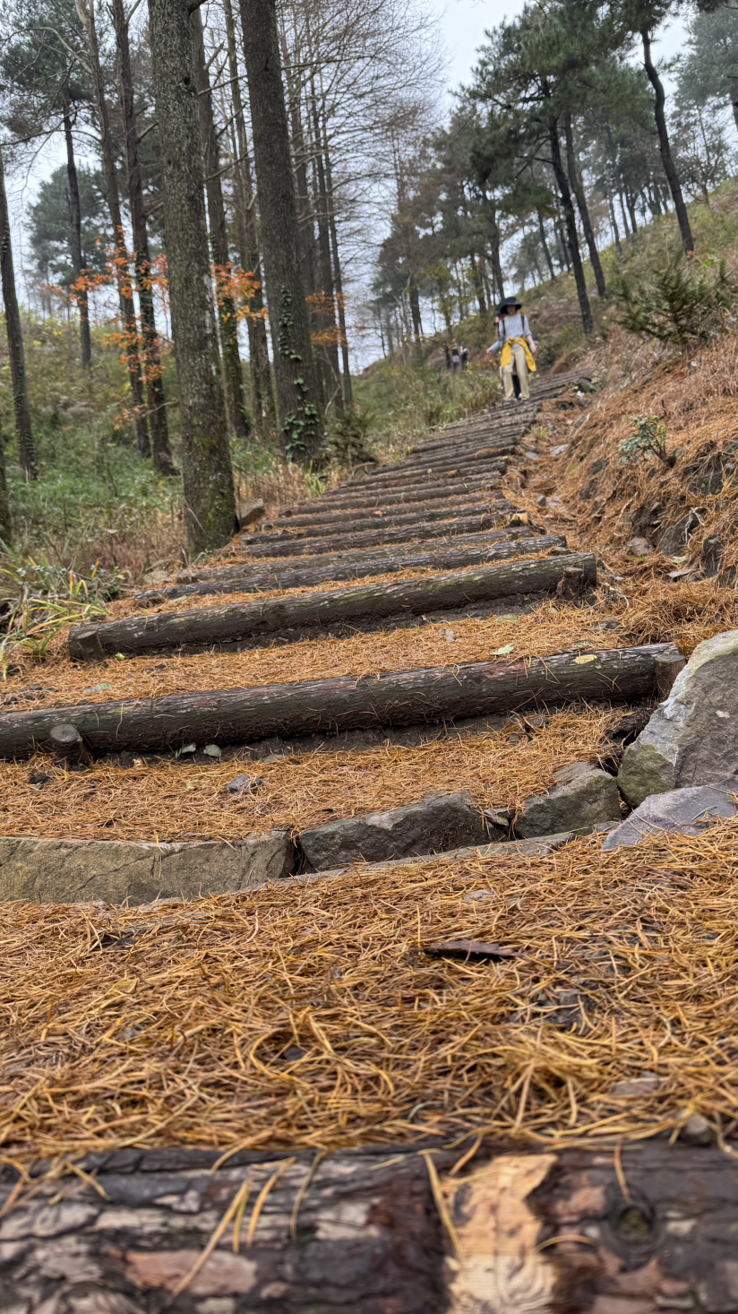 徒步宁波四明山青虎湾岗