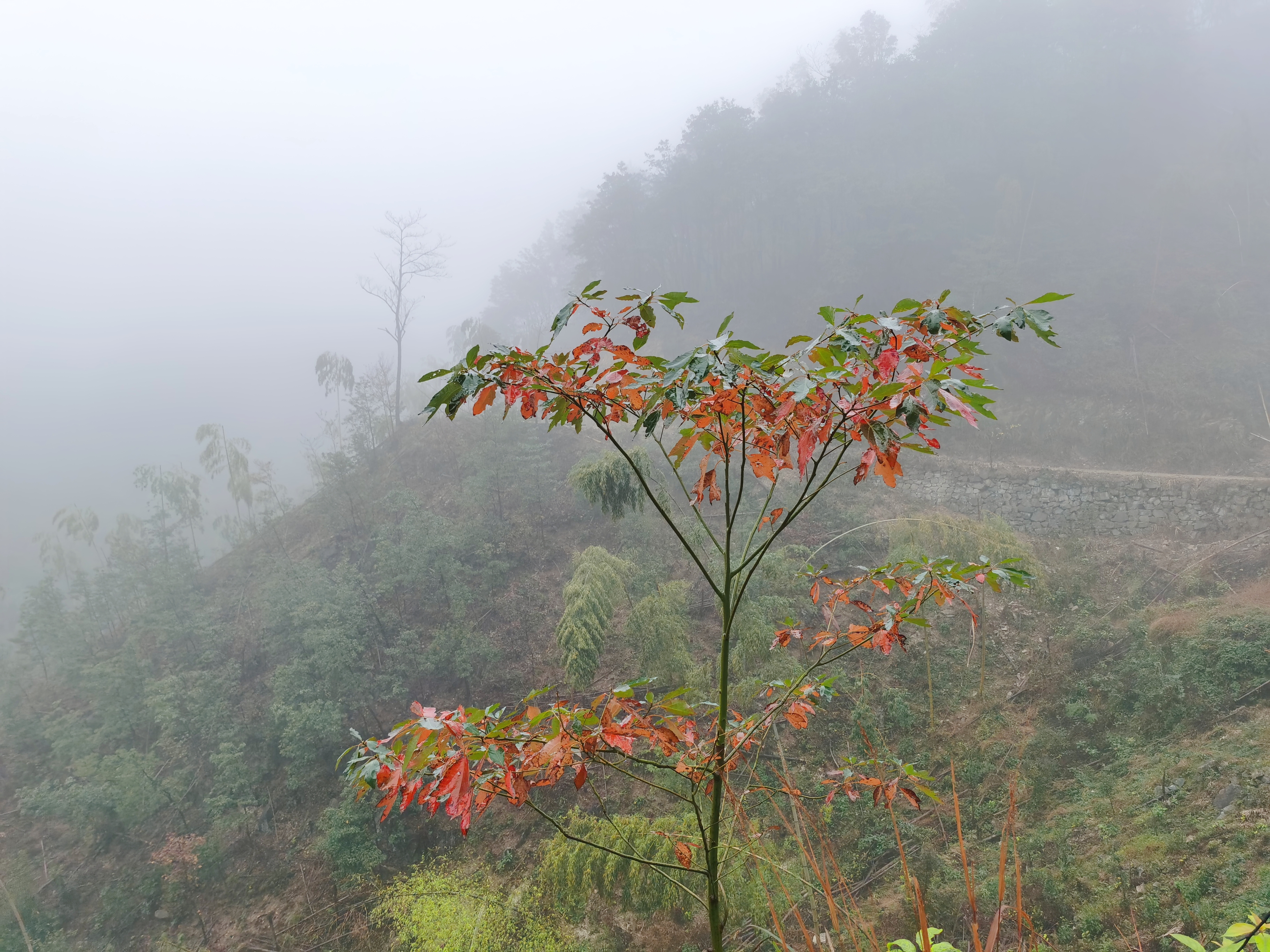 余姚东山岗