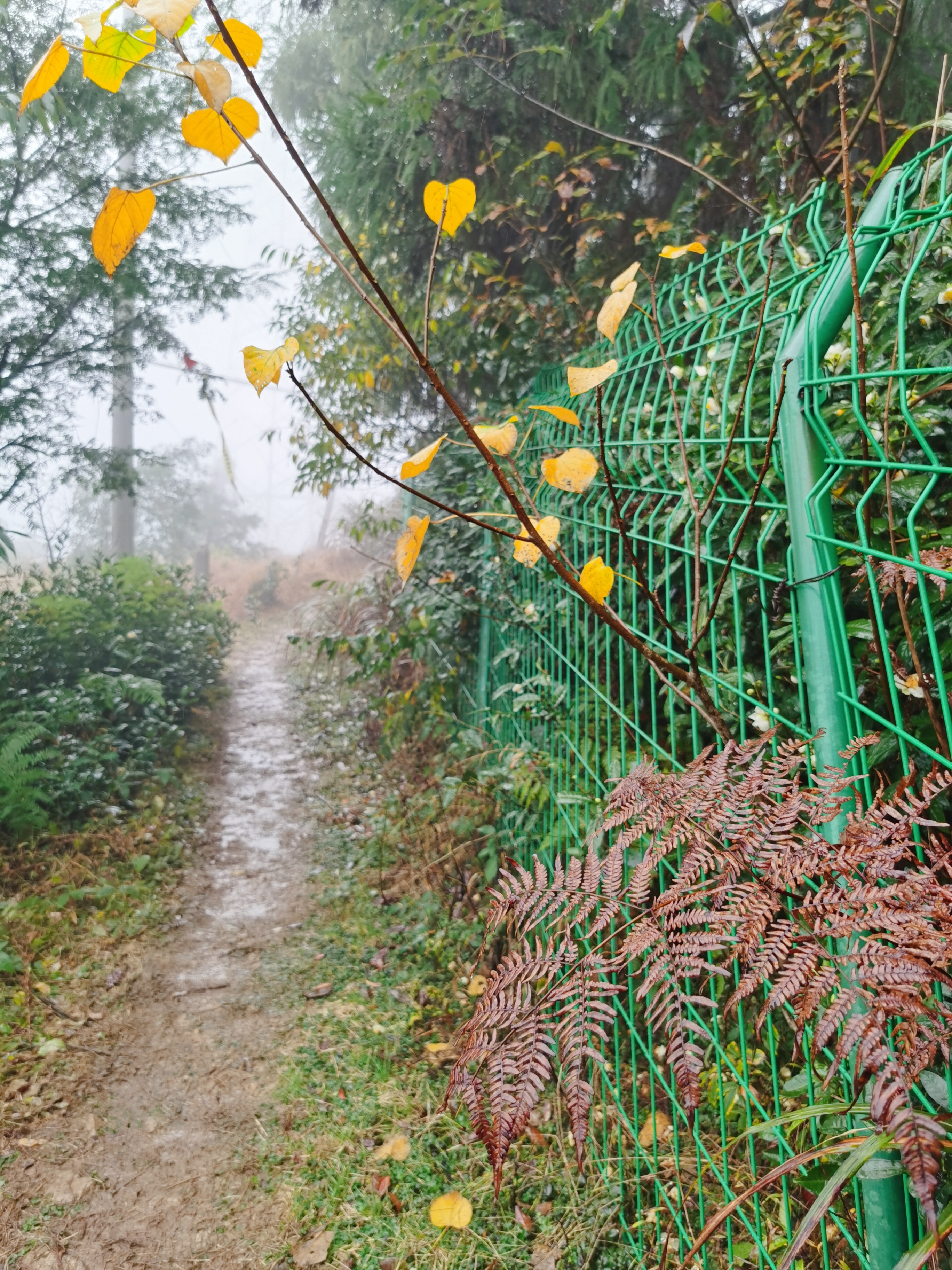 余姚东山岗