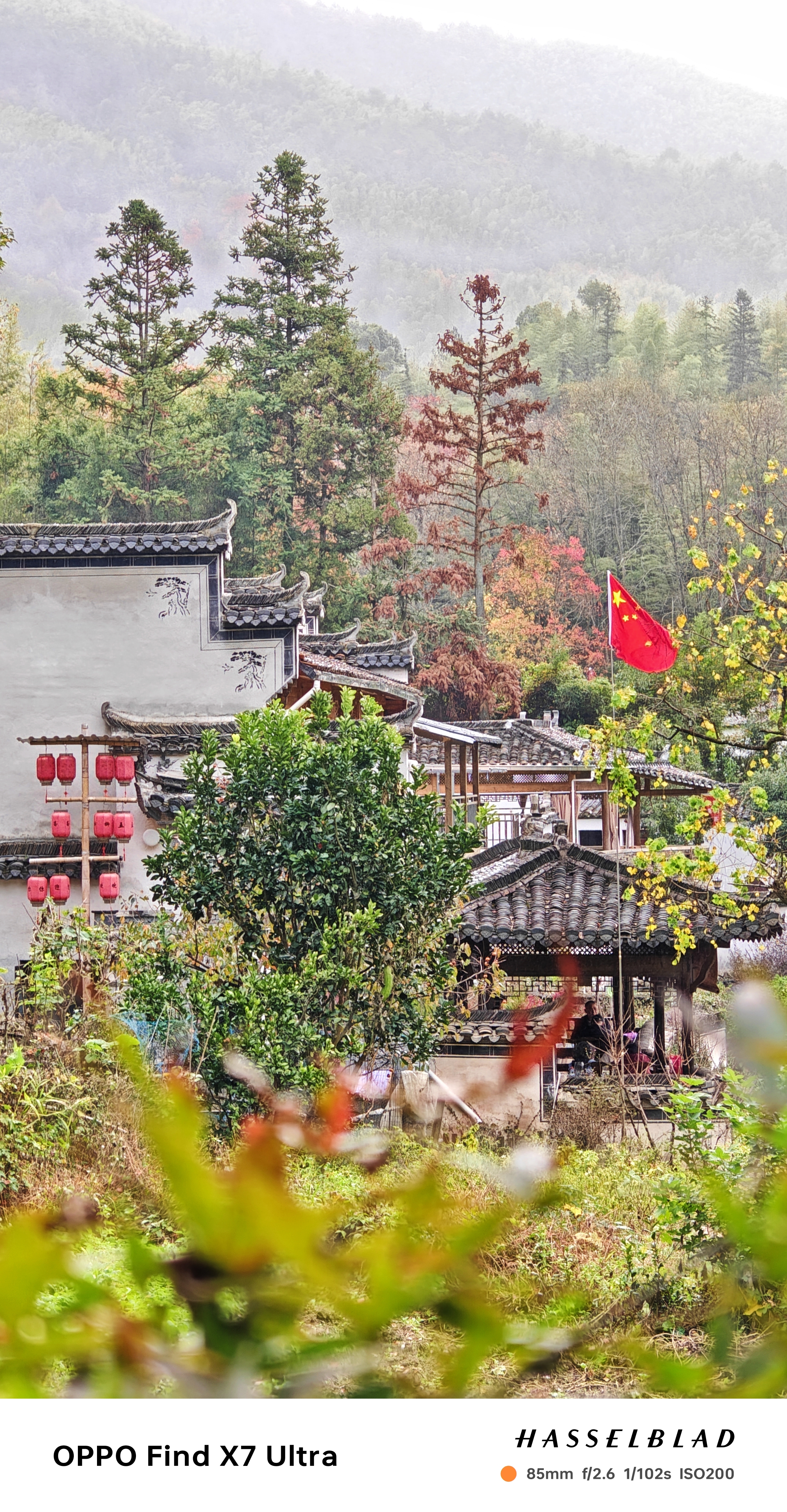 不卷黄山