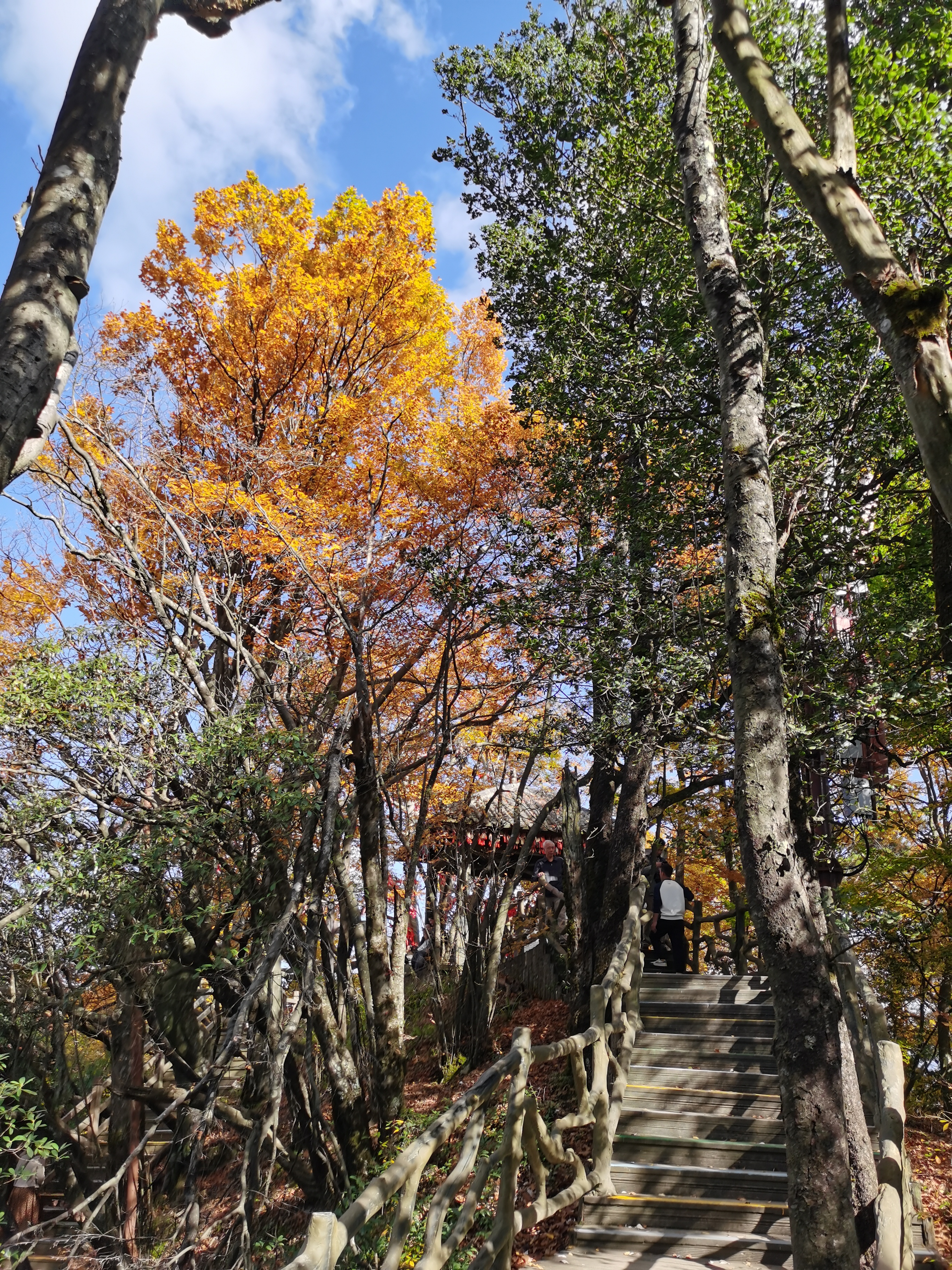 光雾山