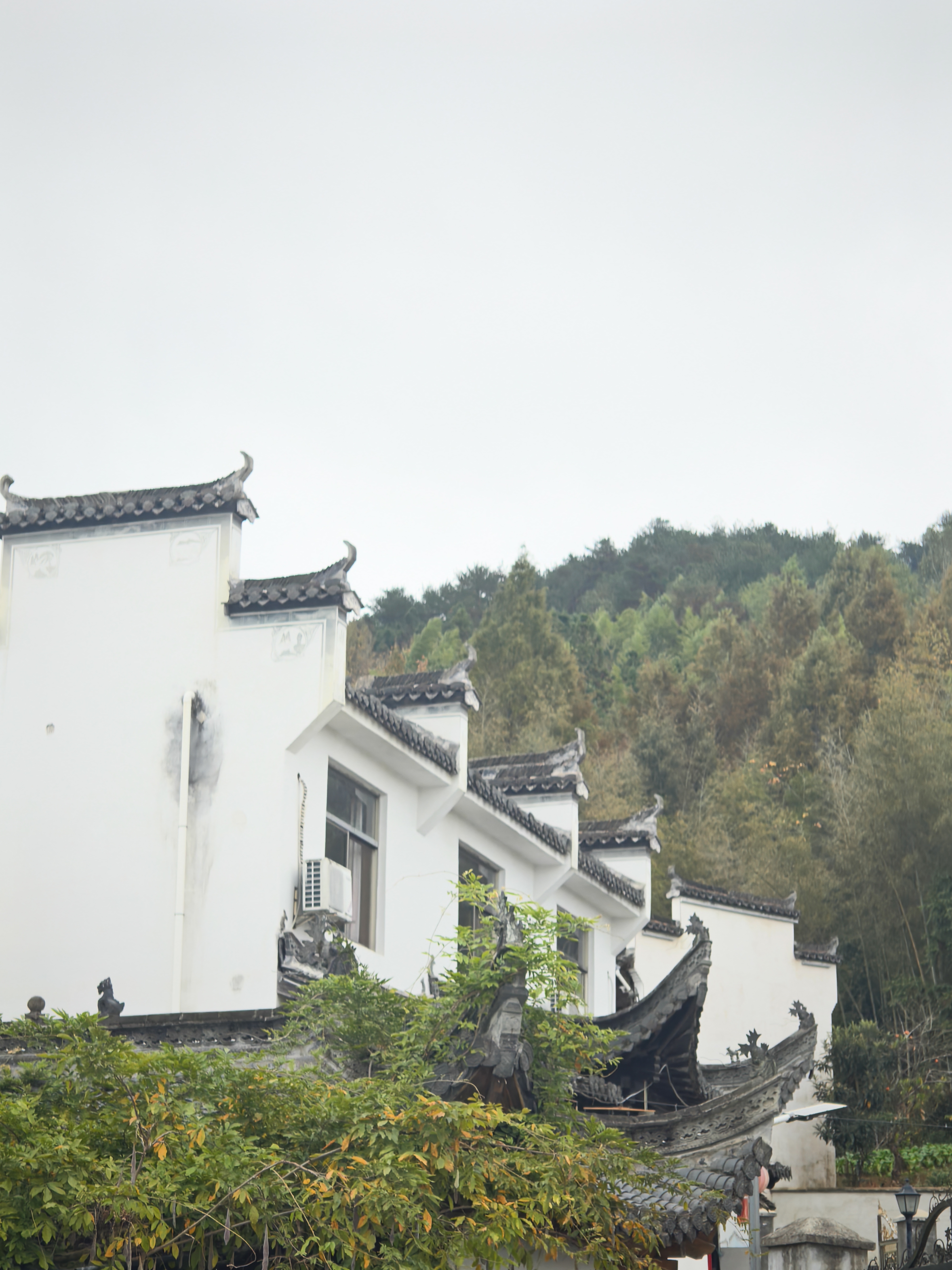 不卷黄山