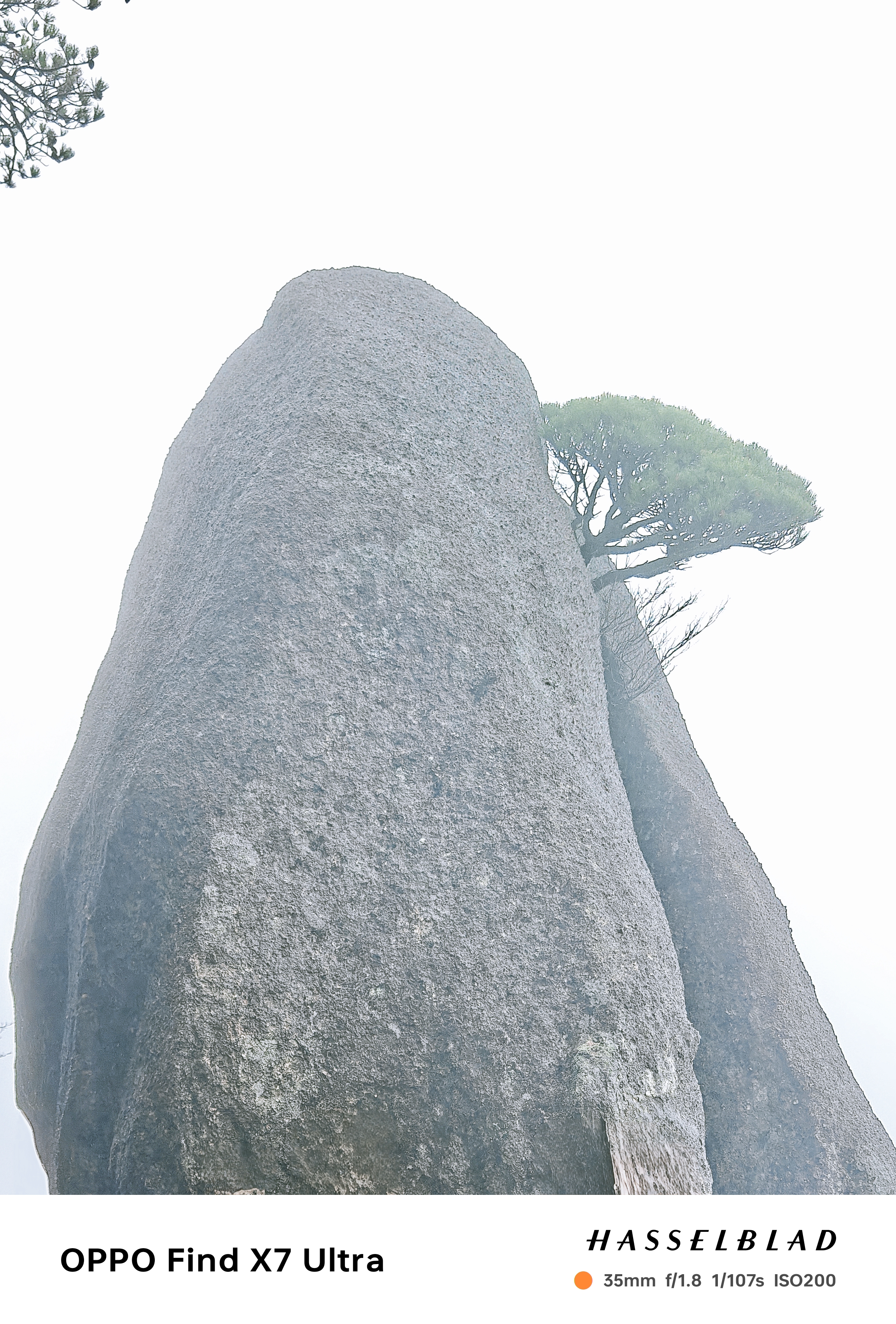 不卷黄山