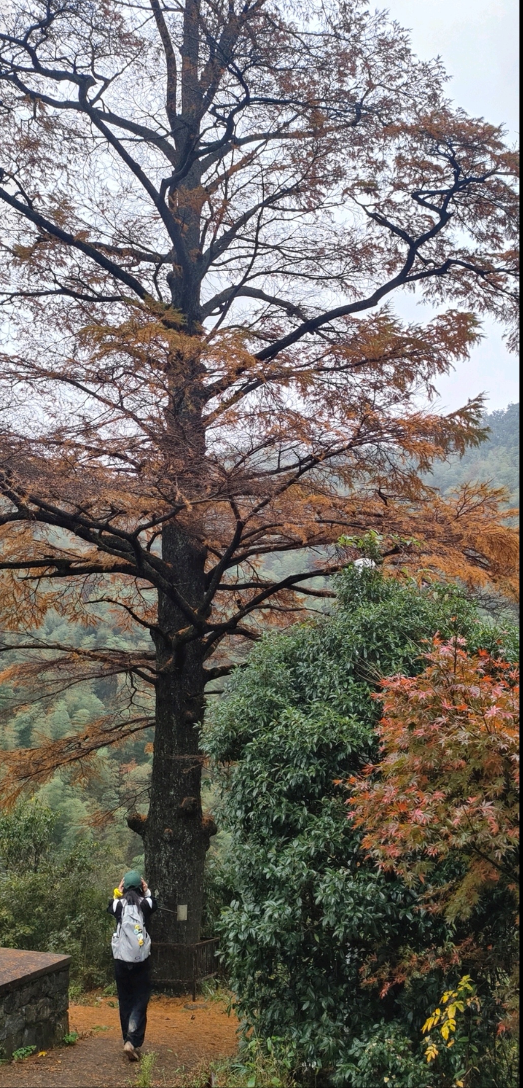 余姚东山岗