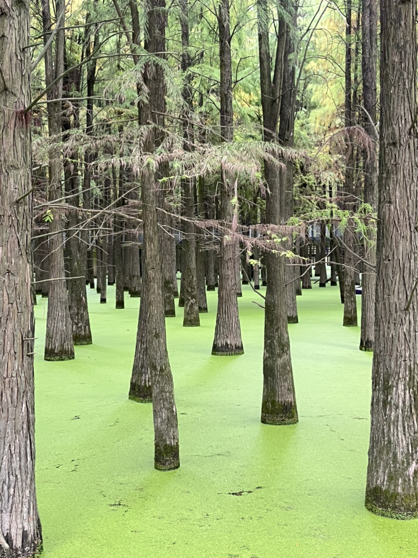 青山湖