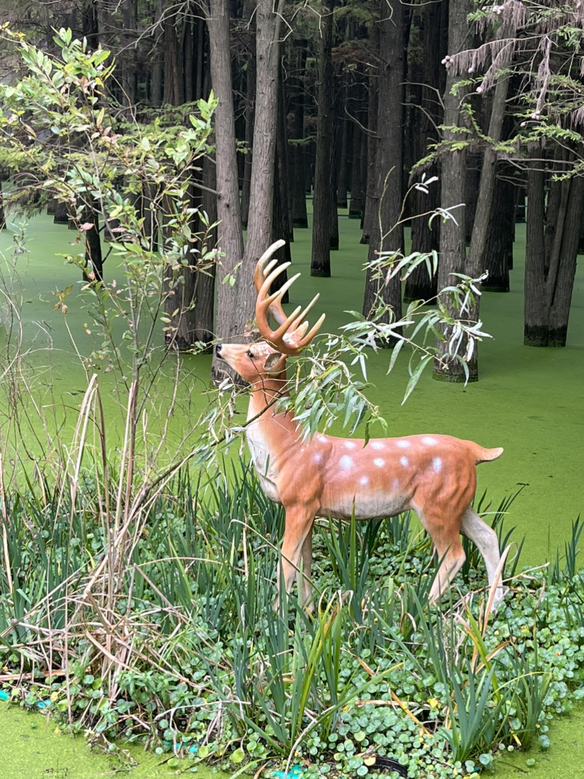 青山湖