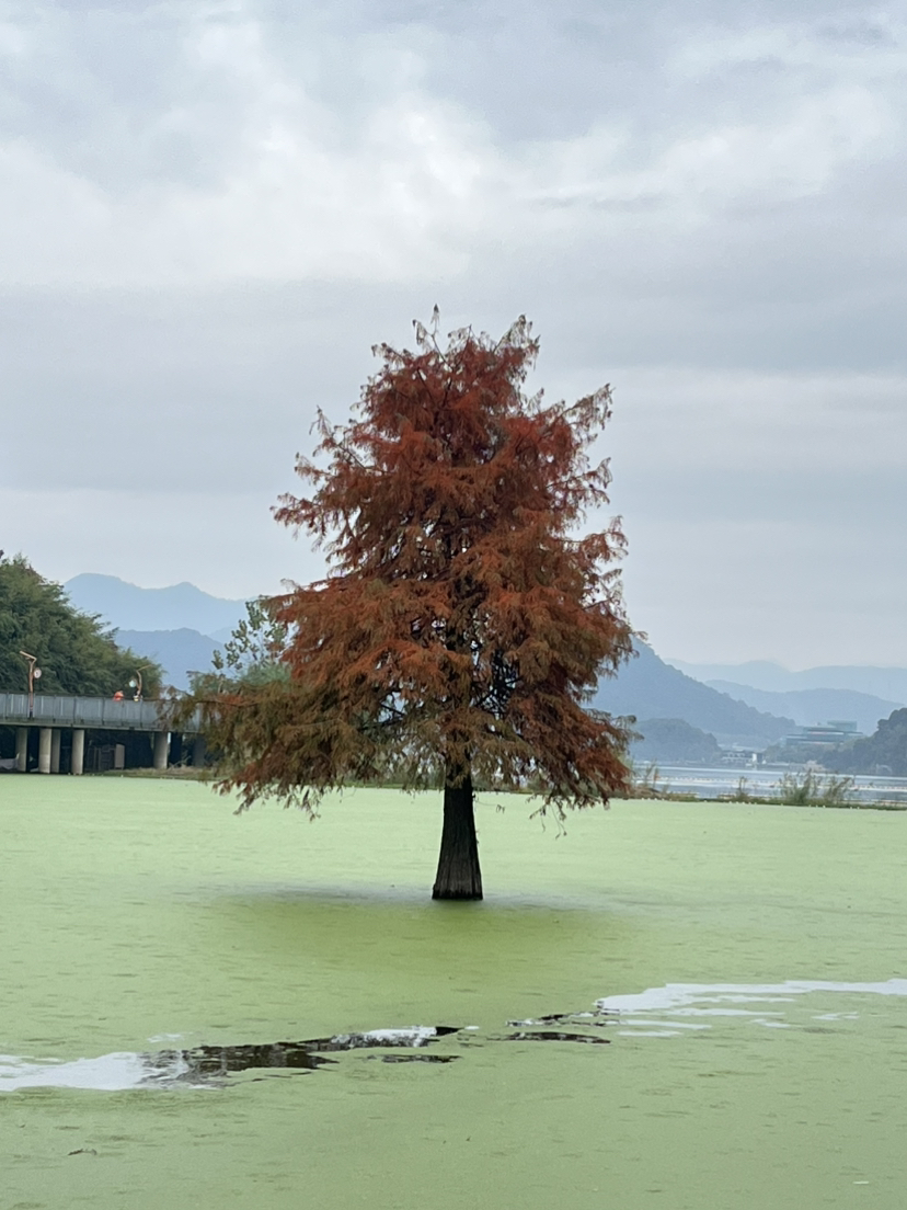 青山湖