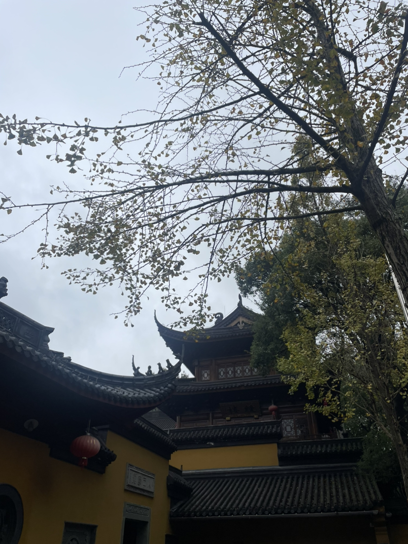 秋天法镜寺游记