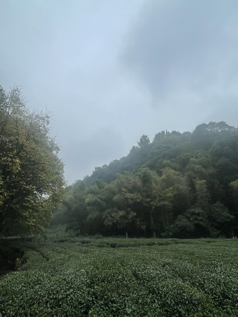 秋天法镜寺游记