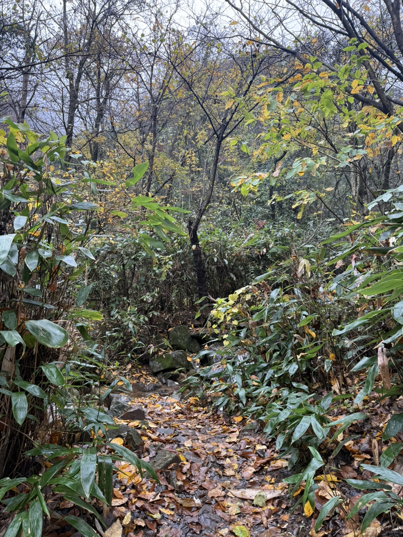 铁匠山