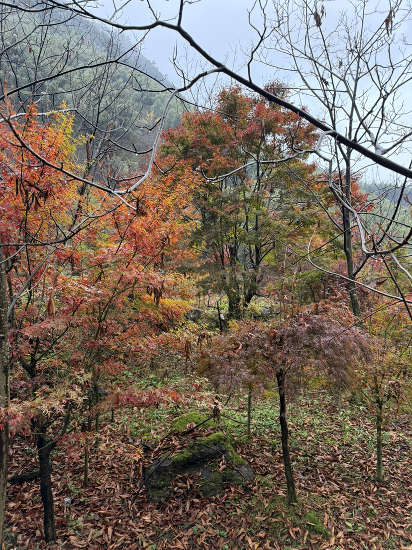 铁匠山