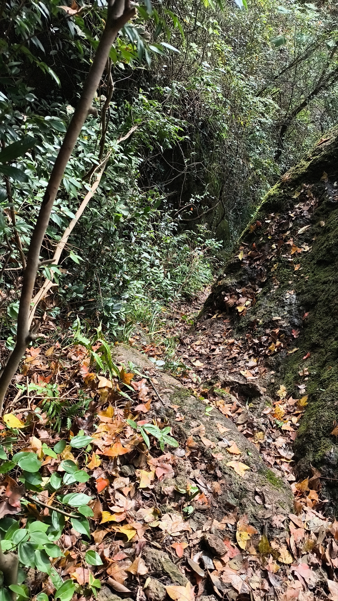 磕山游记