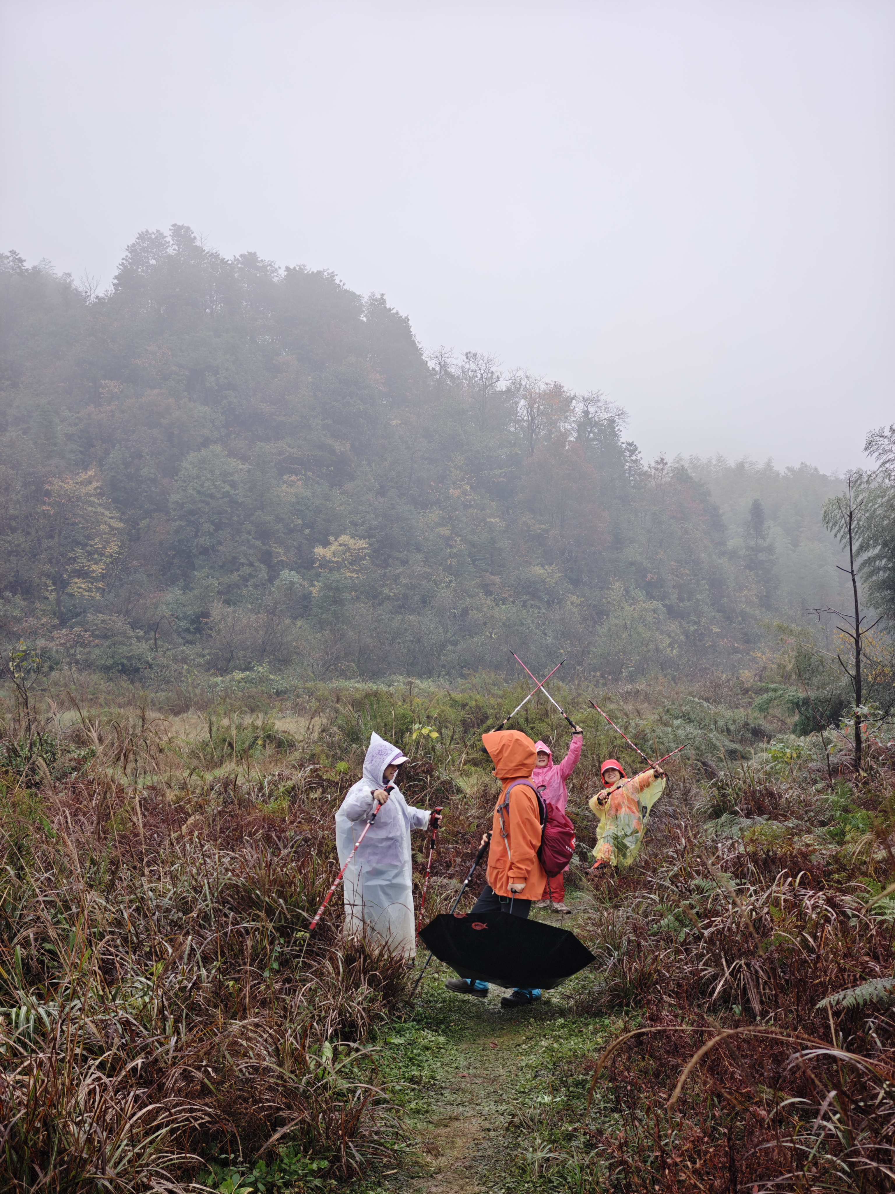东岗山雨中曲
