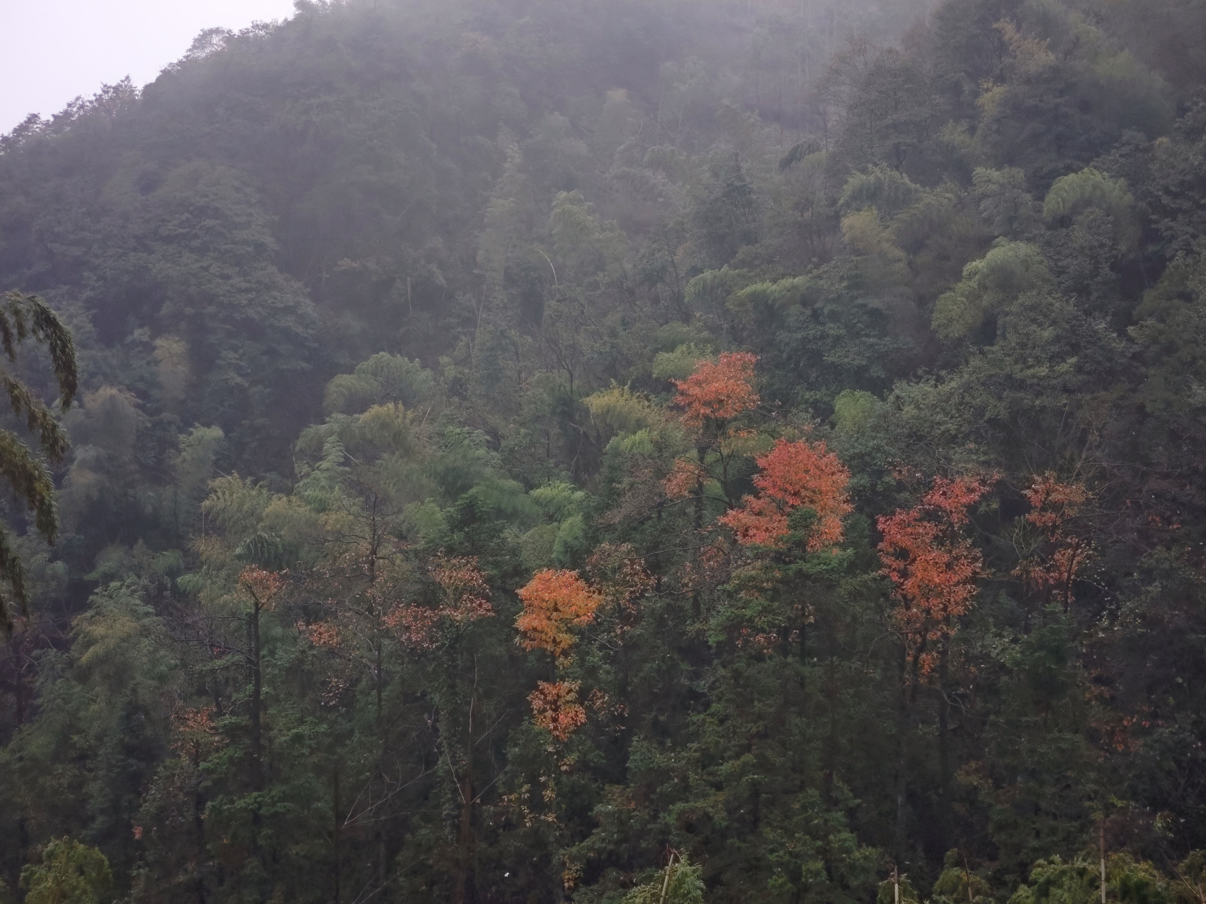 东岗山雨中曲