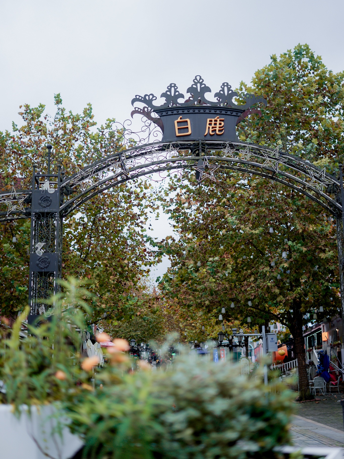 风景很好哦