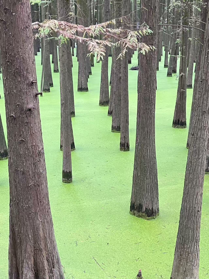 绿水青山