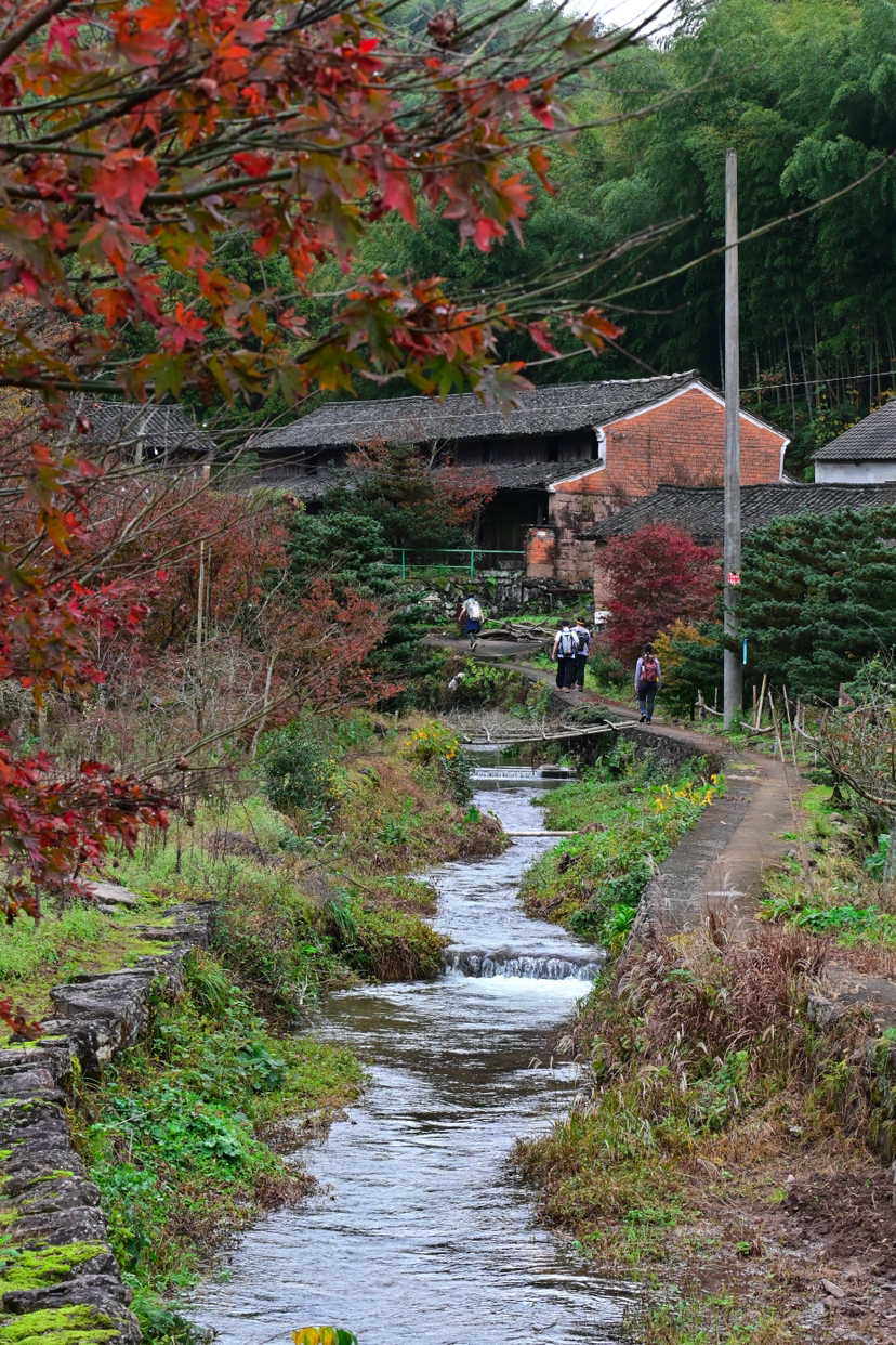 人行秋雨两岩间 雪窦山行
