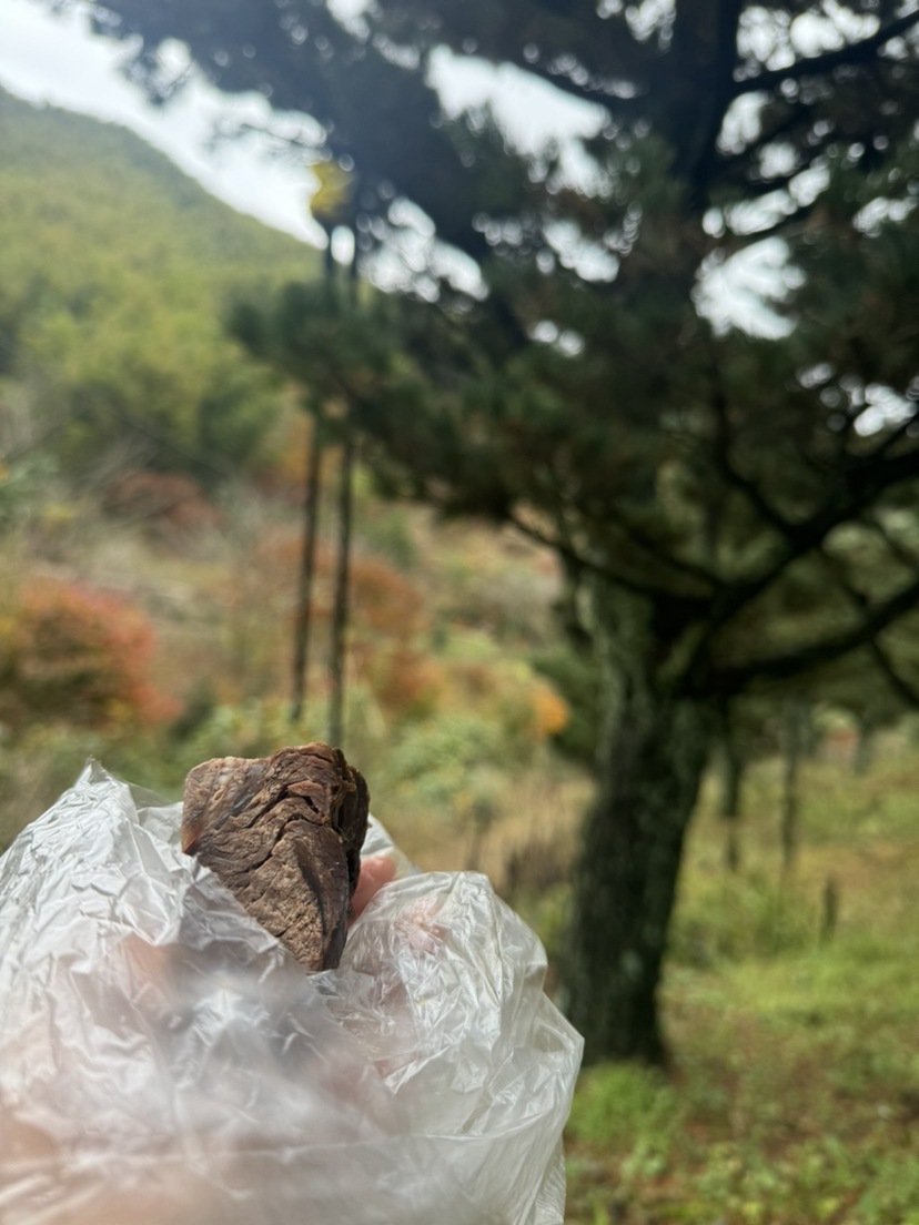 人行秋雨两岩间 雪窦山行