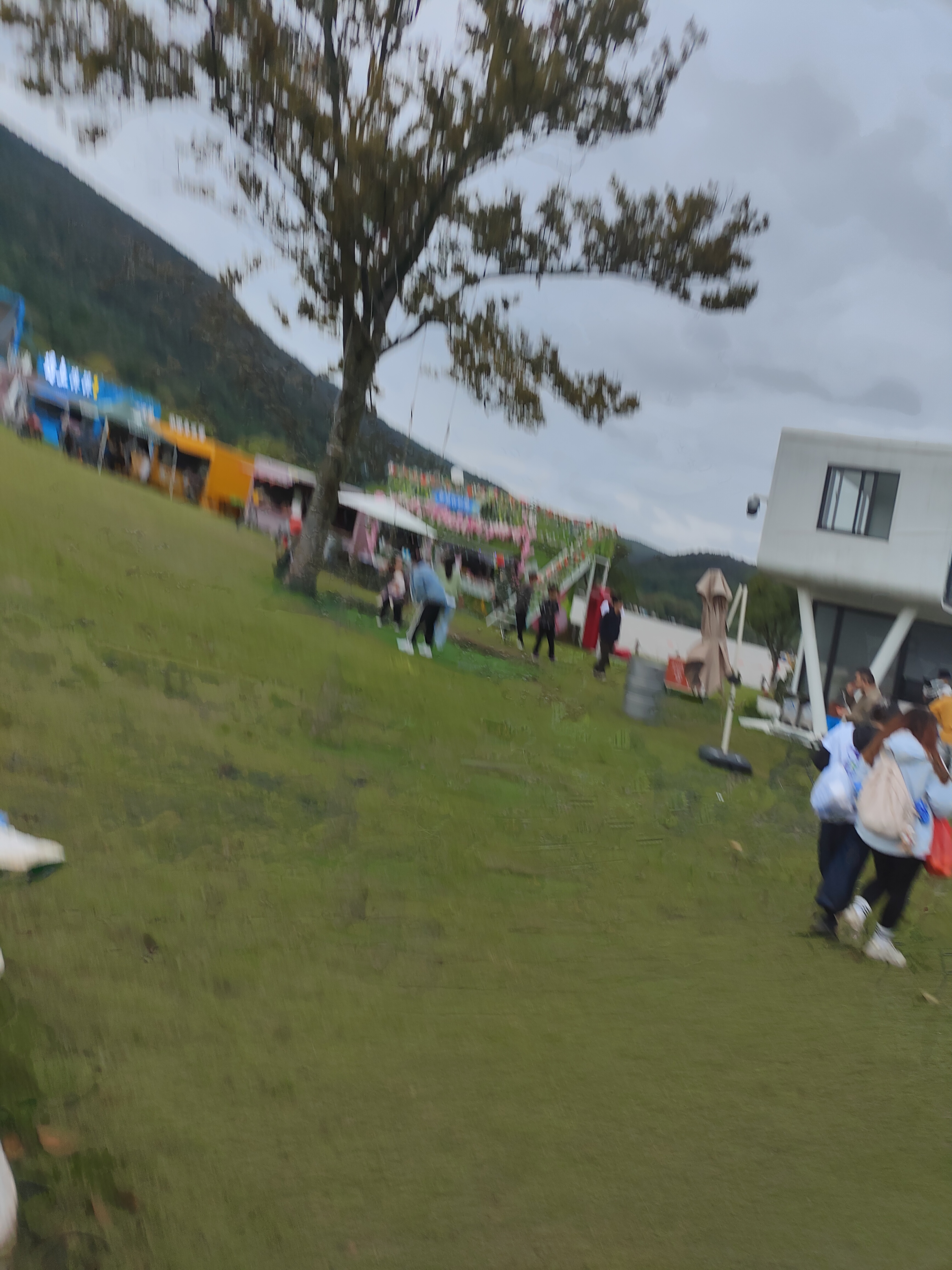 2024.10.19 高阳山 15 公里组(十)