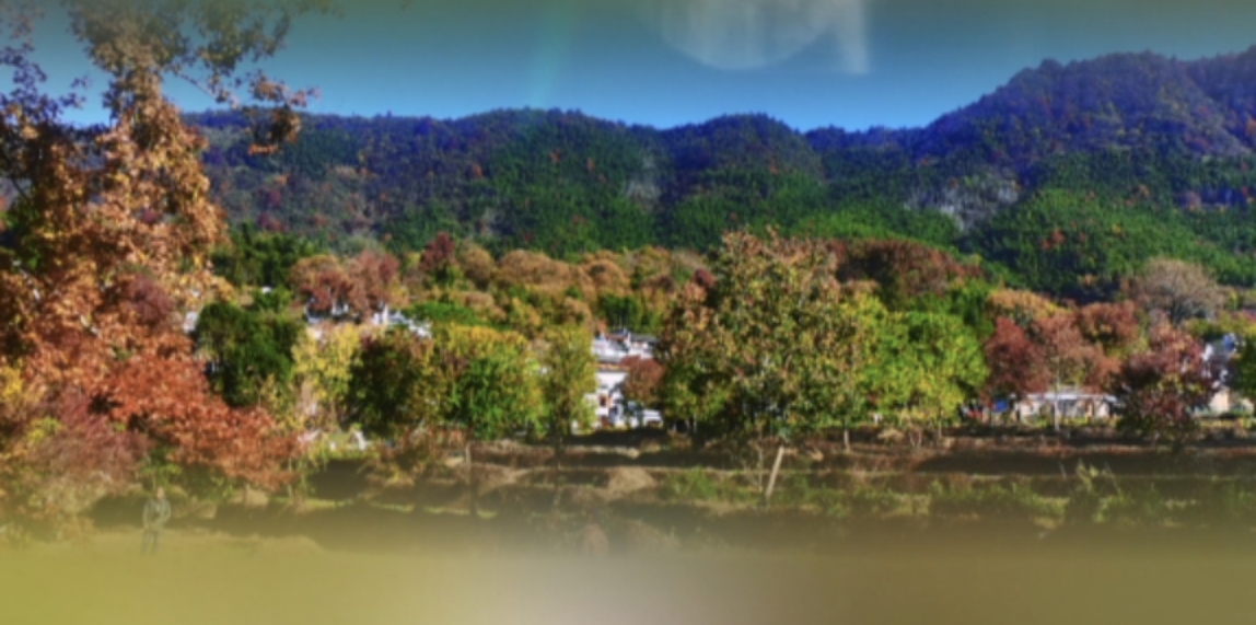忆塔川秋色