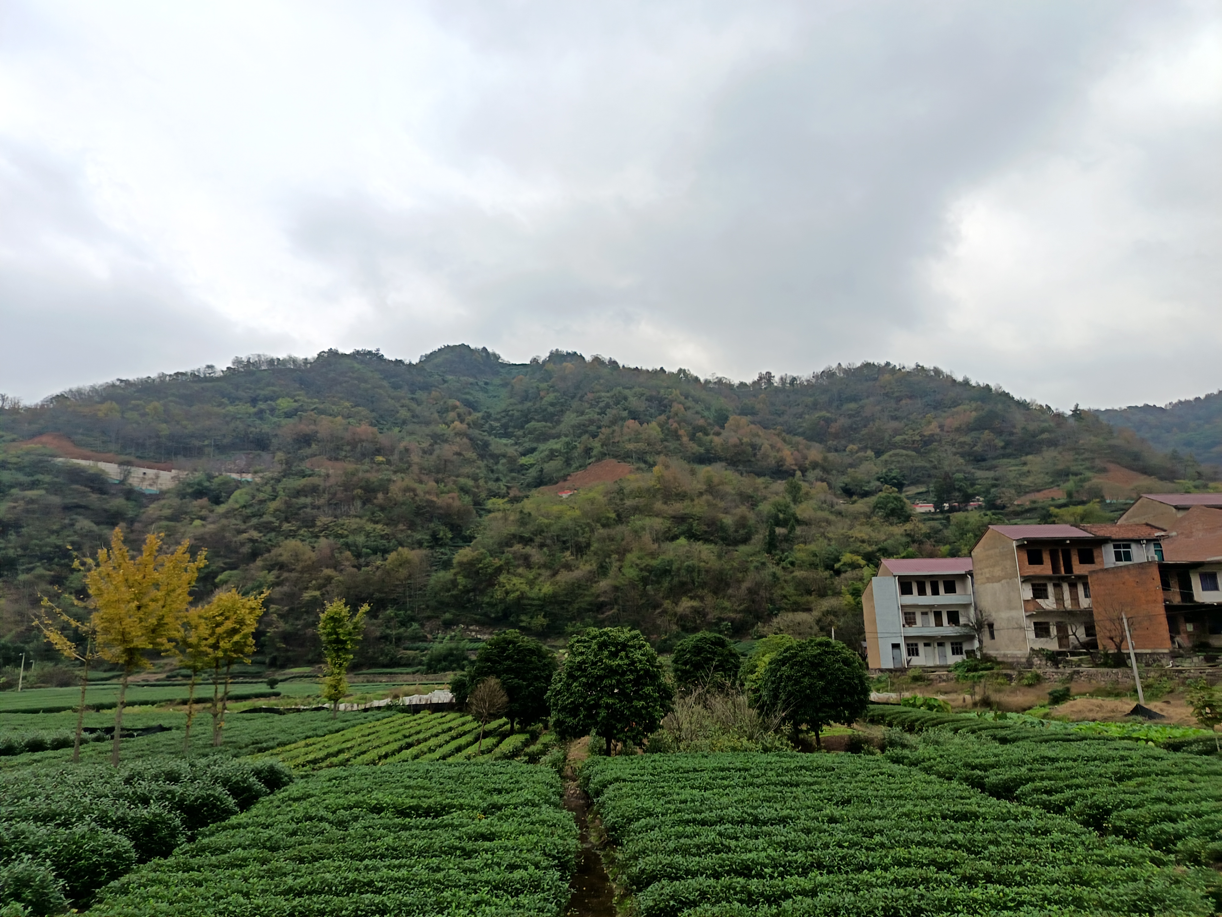 山水之韩妃江古道