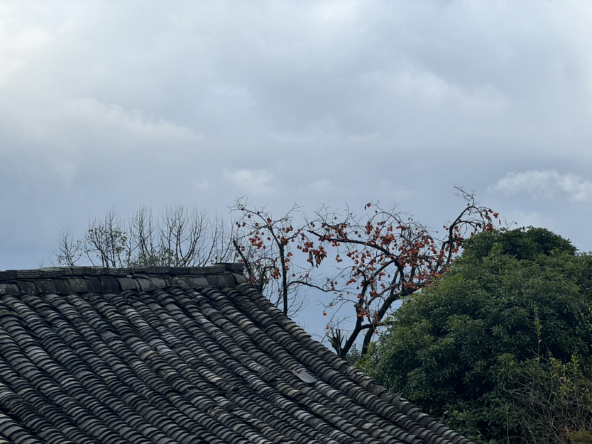秋游雪窦山