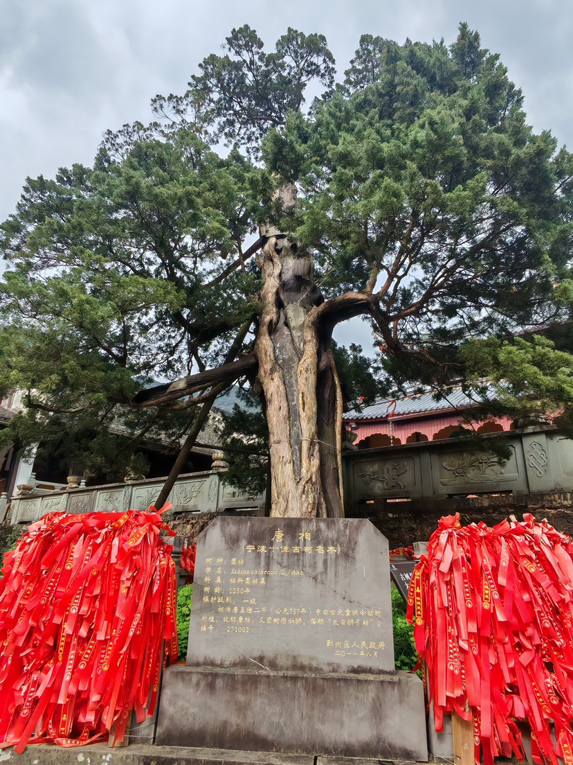天童寺值得慢慢逛